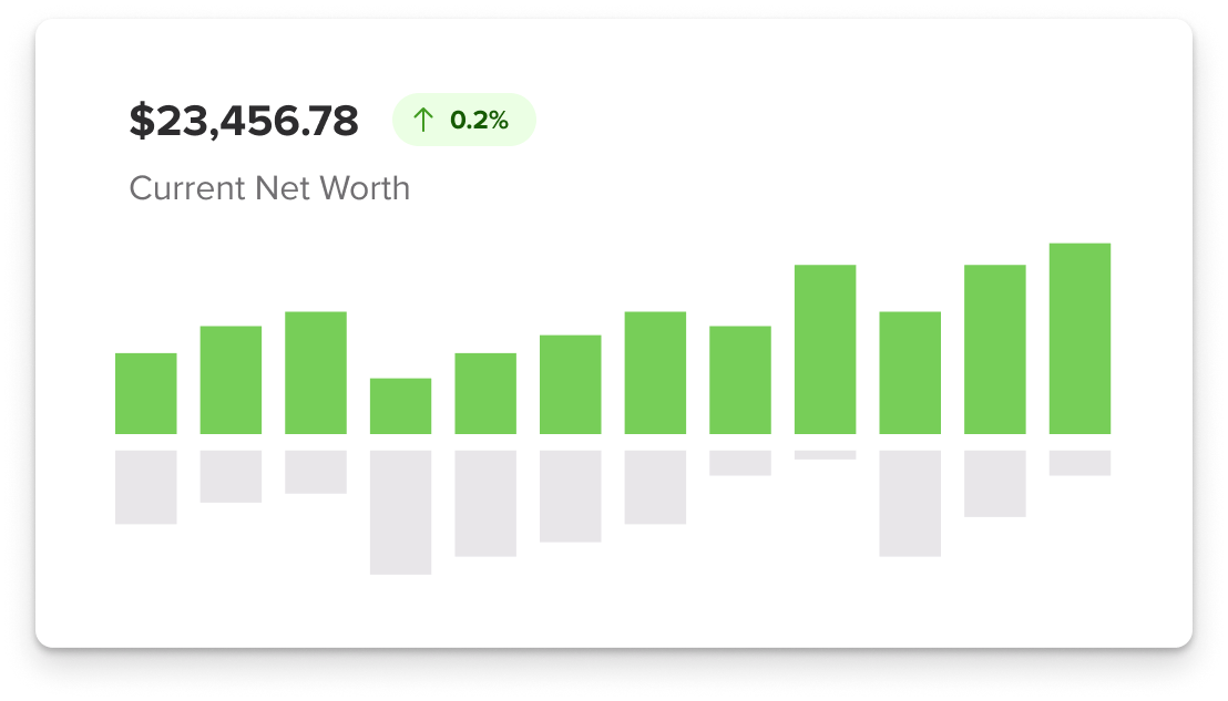 Net Worth Illustration