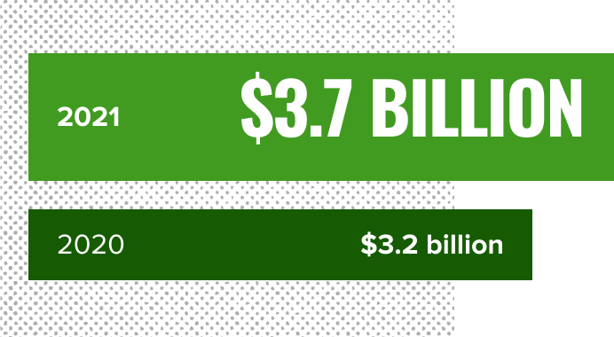 A green bar graph which reads: Total Assets in 2021: $3.7 billion; Total Assets in 2020: $3.2 billion