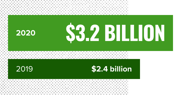 A green bar graph which reads: Total Assets in 2020: $3.2 billion; Total Assets in 2019: $2.4 billion