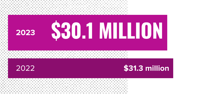 An pink bar graph which reads: Net Income in 2023: $30.1 million; Net Income in 2022: $31.3 million